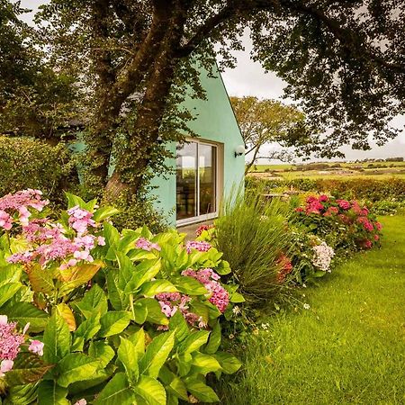Apartmán The Wild Atlantic Hideaway Clonakilty Exteriér fotografie